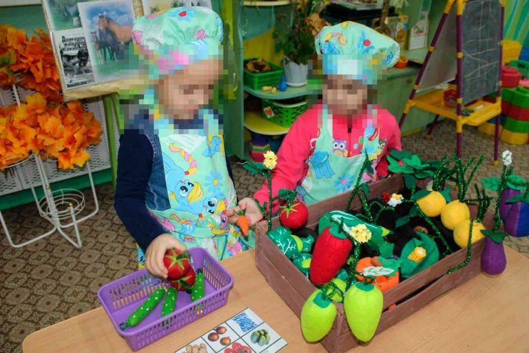 Дидактическое пособие «Овощи в огороде» для детей 3-7 лет